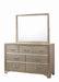 Beaumont Rectangular Dresser Mirror Champagne - Couch Potato Furniture & Mattress (CA) - Multi Location
