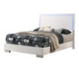 Felicity Full Panel Bed with LED Lighting Glossy White - Couch Potato Furniture & Mattress (CA) - Multi Location