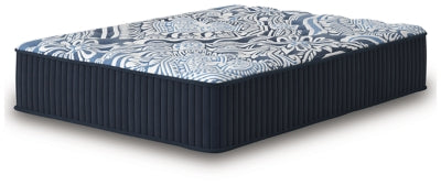 Firm Luxe 2.0 Mattress - Couch Potato Furniture & Mattress (CA) - Multi Location