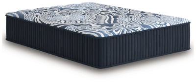 Firm Luxe 2.0 Mattress - Couch Potato Furniture & Mattress (CA) - Multi Location